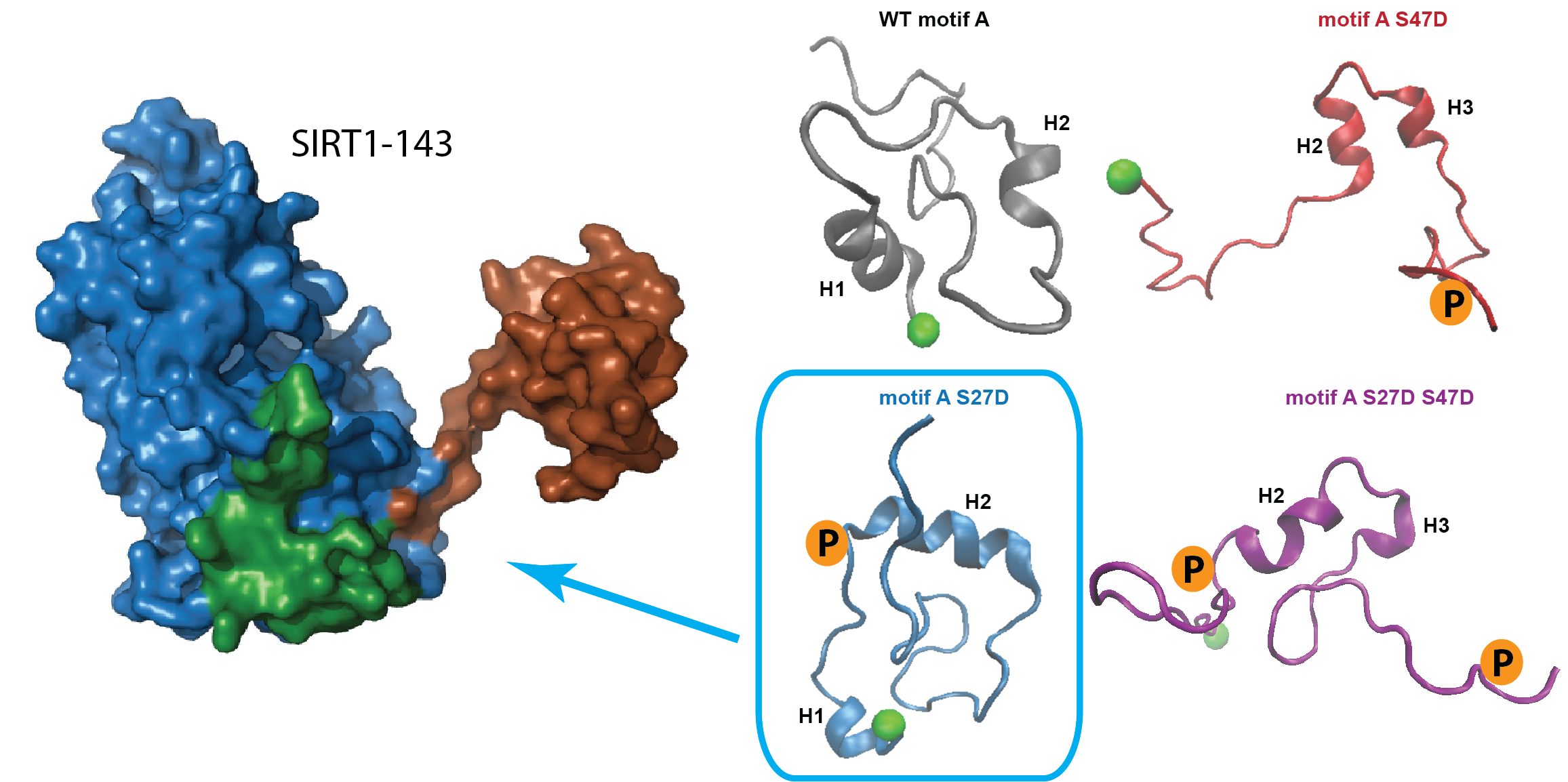 TOC image from journal