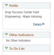 Check your holds on MySJSU. Screenshot of holds section of a student's account