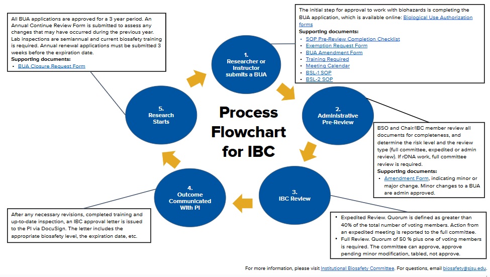IBC Flowchart 1st steps