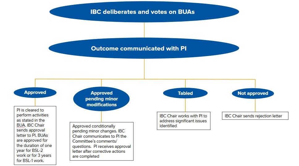 IBC Process Flowchart - step 3