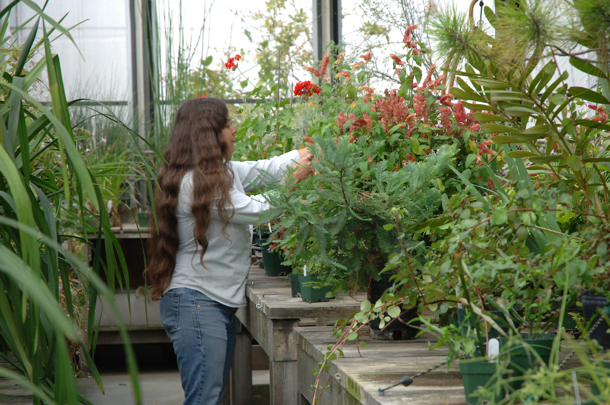 Image of a student tending to flora in a greenhouse