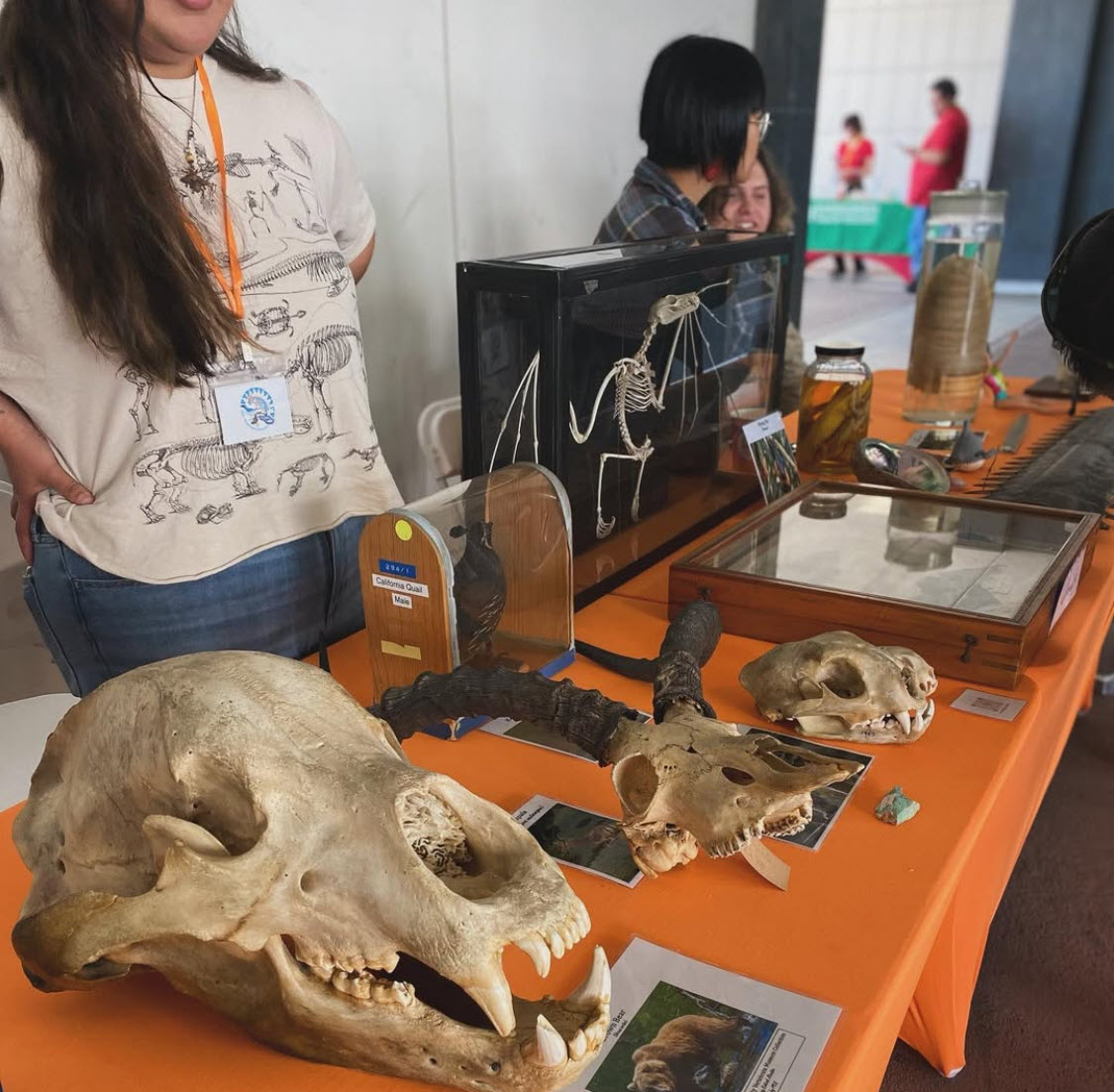 sciencepalooza